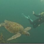 Galapagos to Graduation