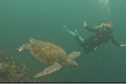 Galapagos to Graduation