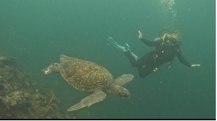 Galapagos to Graduation